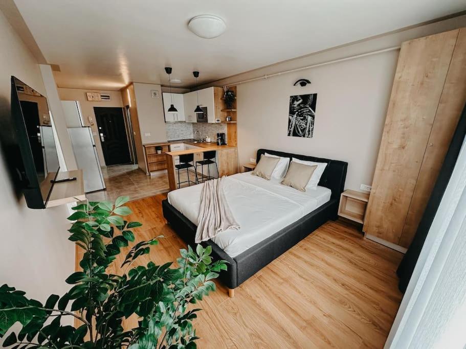 Agoll Victoria - Self Checkin Apartman Resicabánya Kültér fotó